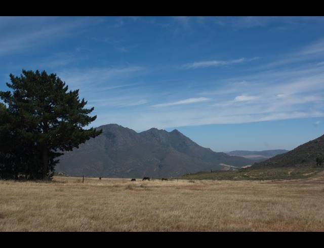FARM FOR SALE IN PIKETBERG RURAL